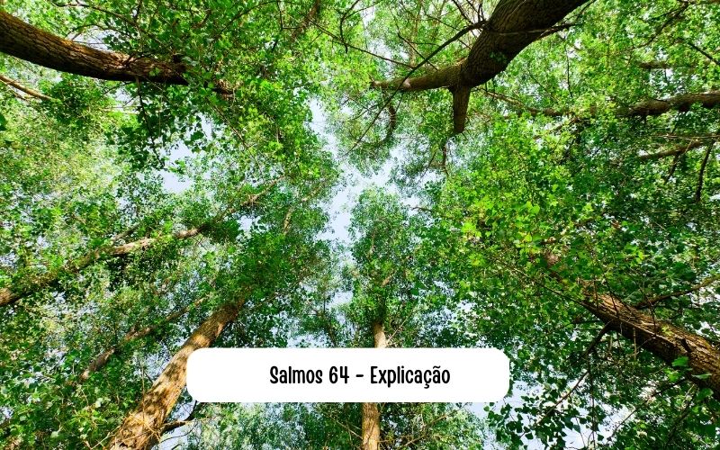 Salmos 64