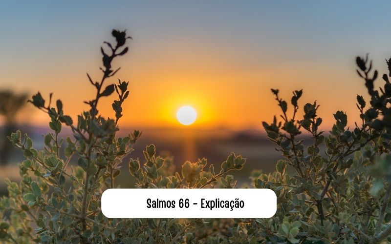 Salmos 66