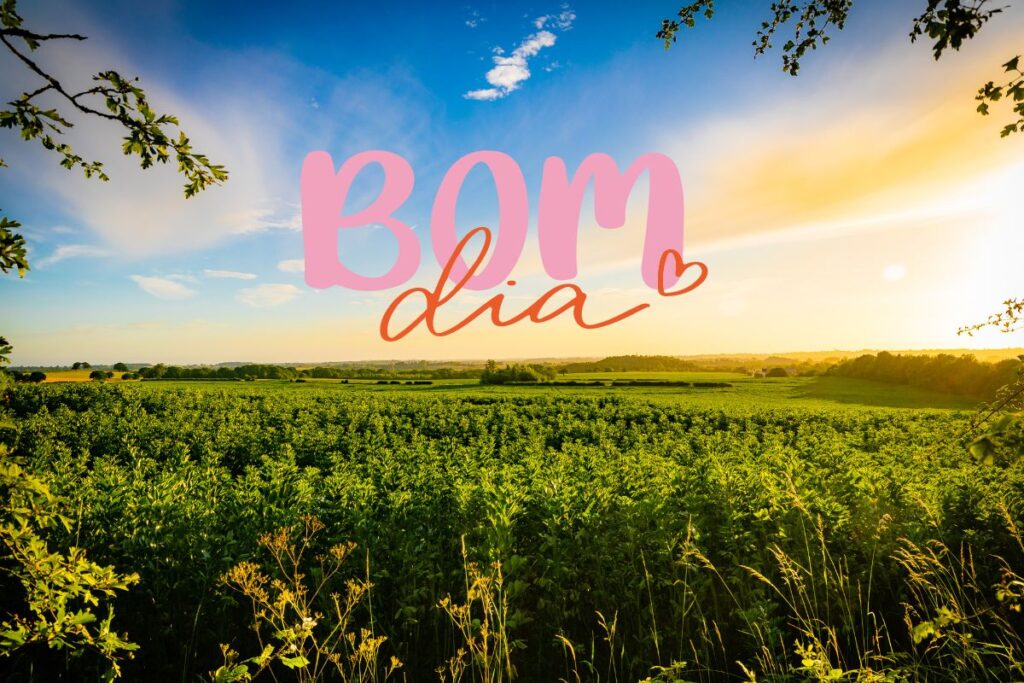 Versículo de Bom dia
